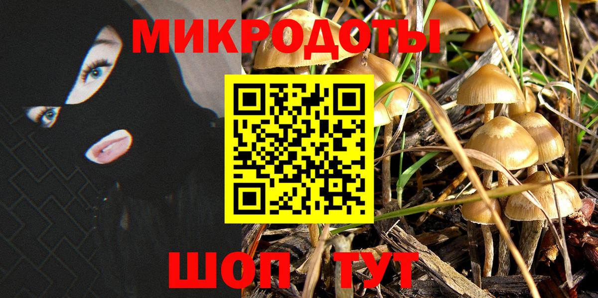 Псилоцибиновые грибы Cubensis Богородск